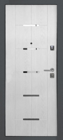Двери Гуд Входная дверь Salvadoor 1, арт. 0000892